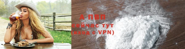 трава Осинники