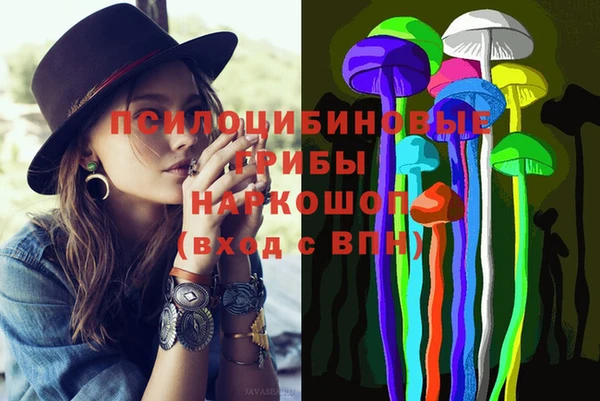 метадон Пестово
