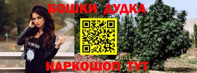 таблы Ставрополь