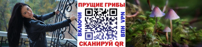 Псилоцибиновые грибы мухоморы  цены   Армавир 