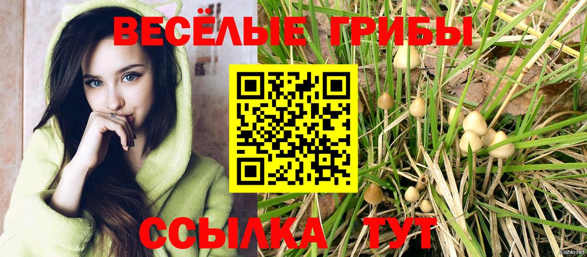 Армавир  Псилоцибиновые грибы прущие грибы  где можно купить наркотик  Вход с VPN 